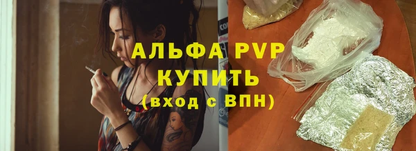 прущие грибы Краснотурьинск