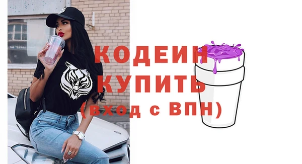 прущие грибы Краснотурьинск