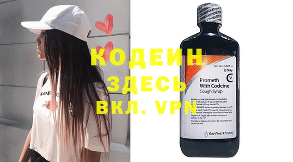 прущие грибы Краснотурьинск