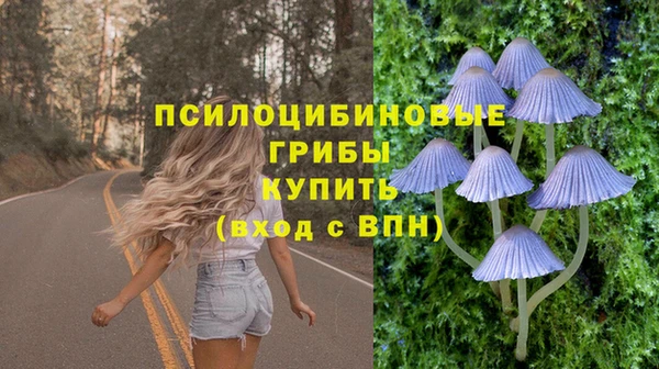 прущие грибы Краснотурьинск
