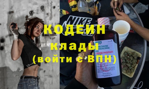прущие грибы Краснотурьинск