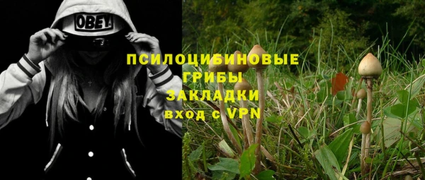 a pvp Белая Холуница