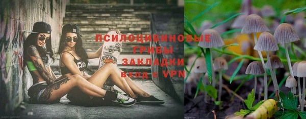 прущие грибы Краснотурьинск