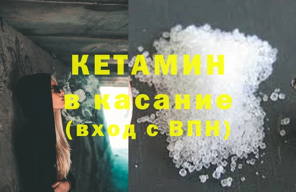 прущие грибы Краснотурьинск