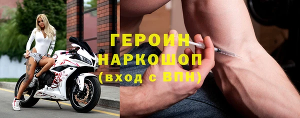 прущие грибы Краснотурьинск