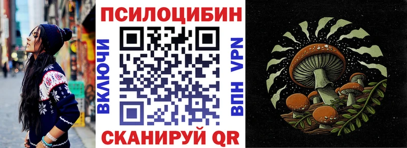 Купить где  Ливны  Псилоцибиновые грибы Psilocybe 